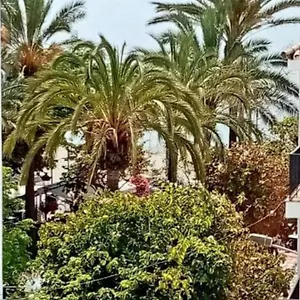 Old Town Appartamento Estepona